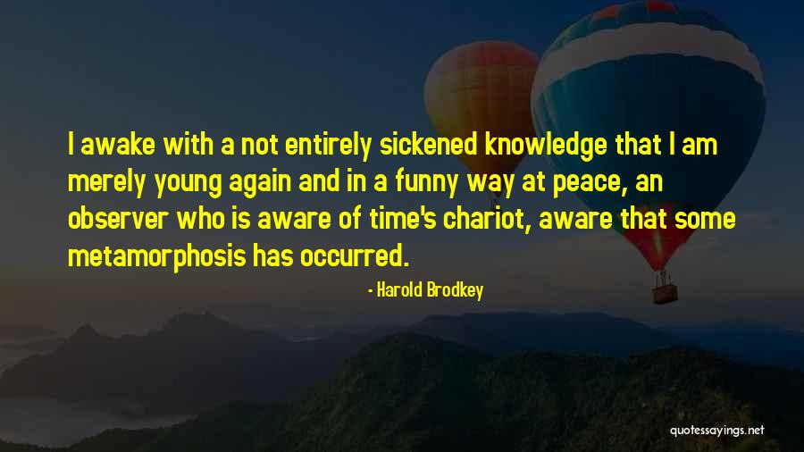 Peace Young Quotes By Harold Brodkey Peace Young Quotes By Harold Brodkey