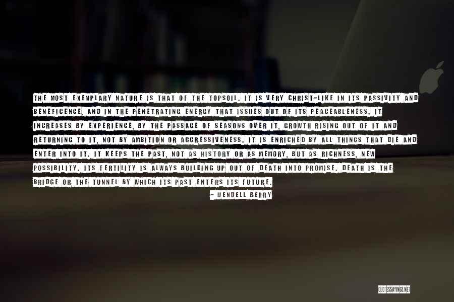 Peaceableness Quotes By Wendell Berry Peaceableness Quotes By Wendell Berry
