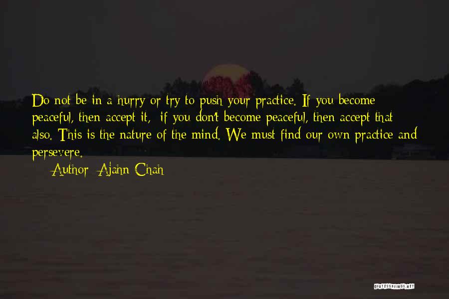 Peaceful Mind Quotes By Ajahn Chah