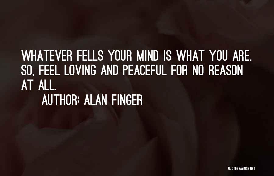 Peaceful Mind Quotes By Alan Finger