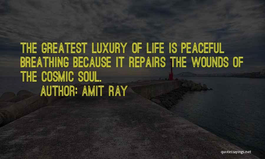 Peaceful Mind Quotes By Amit Ray