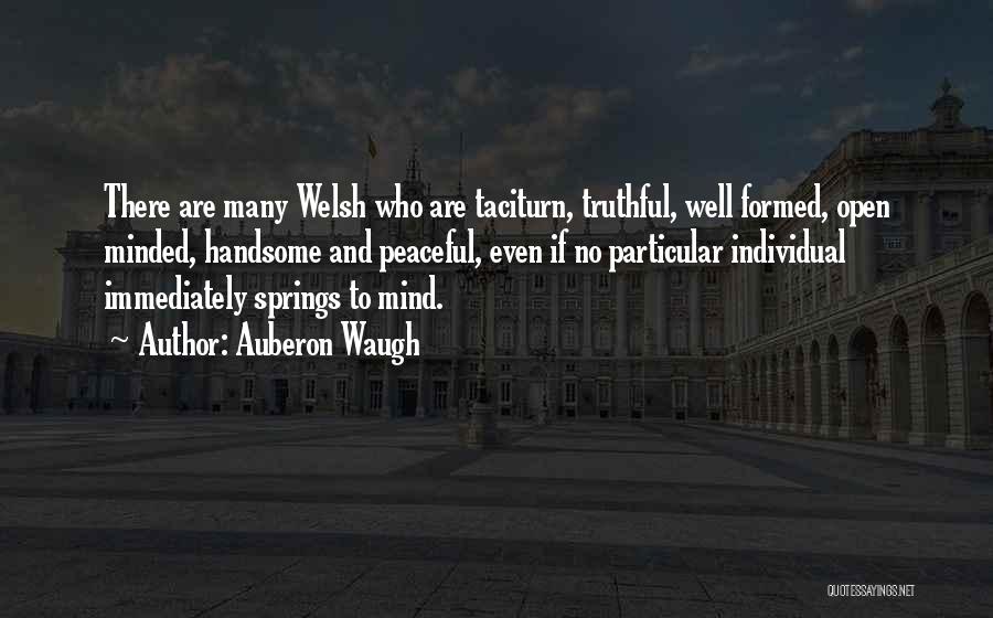 Peaceful Mind Quotes By Auberon Waugh