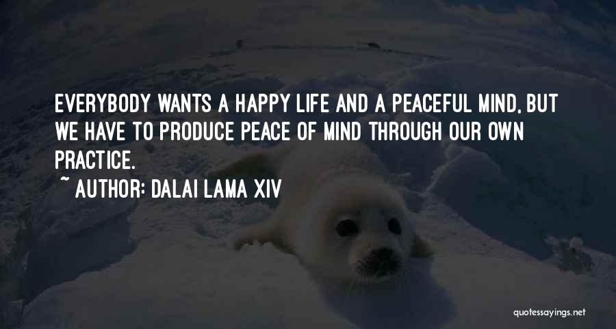 Peaceful Mind Quotes By Dalai Lama XIV