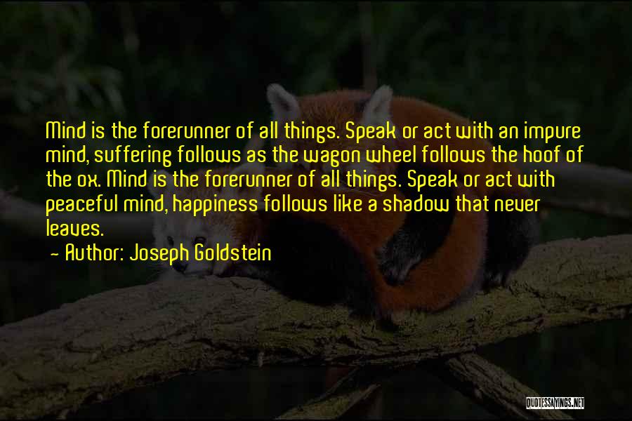 Peaceful Mind Quotes By Joseph Goldstein