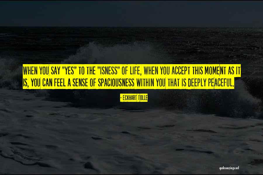 Peaceful Moments Quotes By Eckhart Tolle Peaceful Moments Quotes By Eckhart Tolle