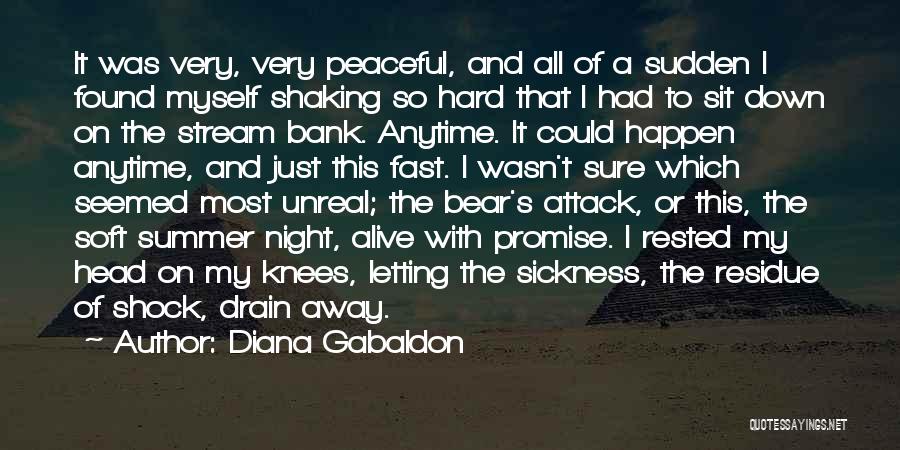 Peaceful Night Quotes By Diana Gabaldon