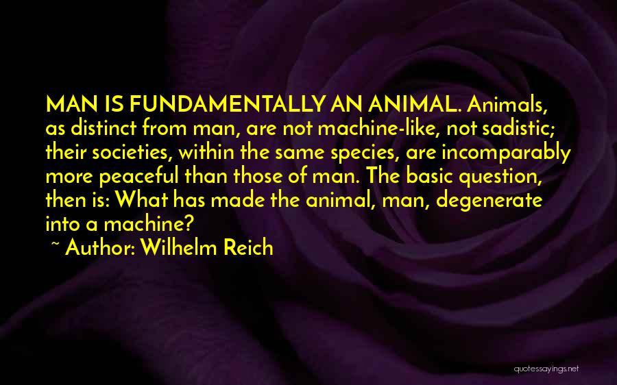 Peaceful Quotes By Wilhelm Reich