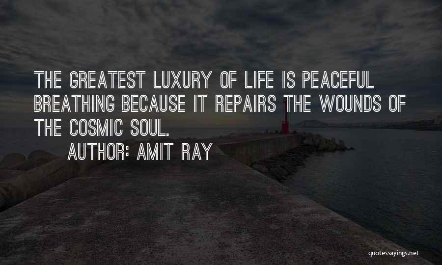 Peaceful Soul Quotes By Amit Ray