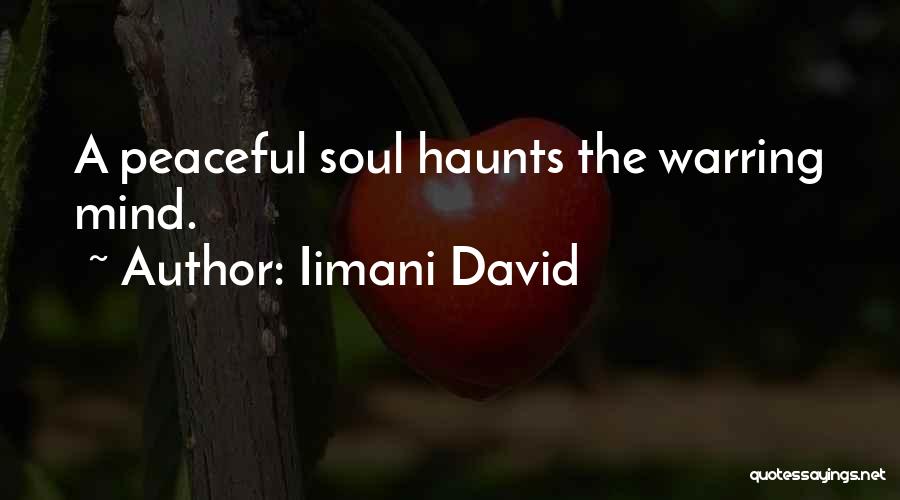 Peaceful Soul Quotes By Iimani David