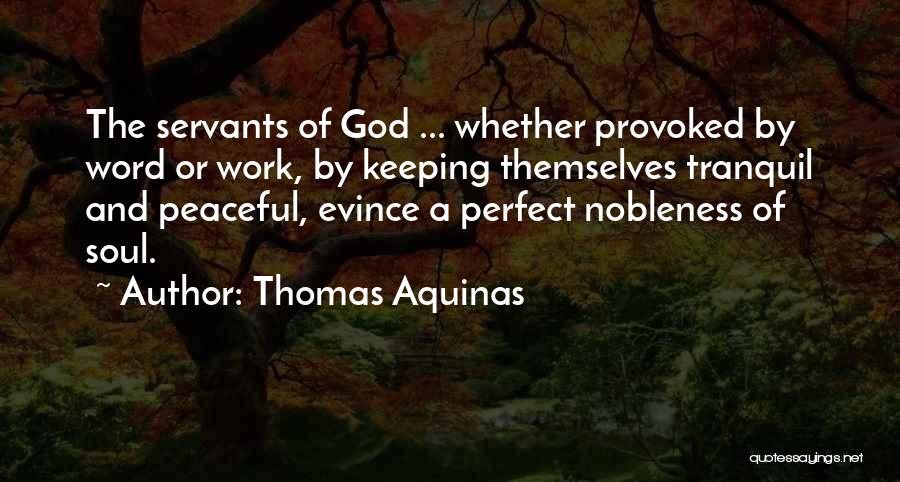 Peaceful Soul Quotes By Thomas Aquinas