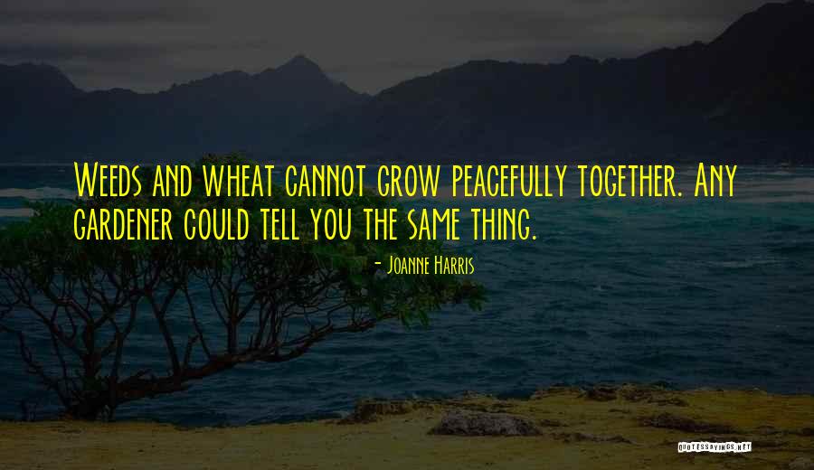 Peacefully Quotes By Joanne Harris Peacefully Quotes By Joanne Harris