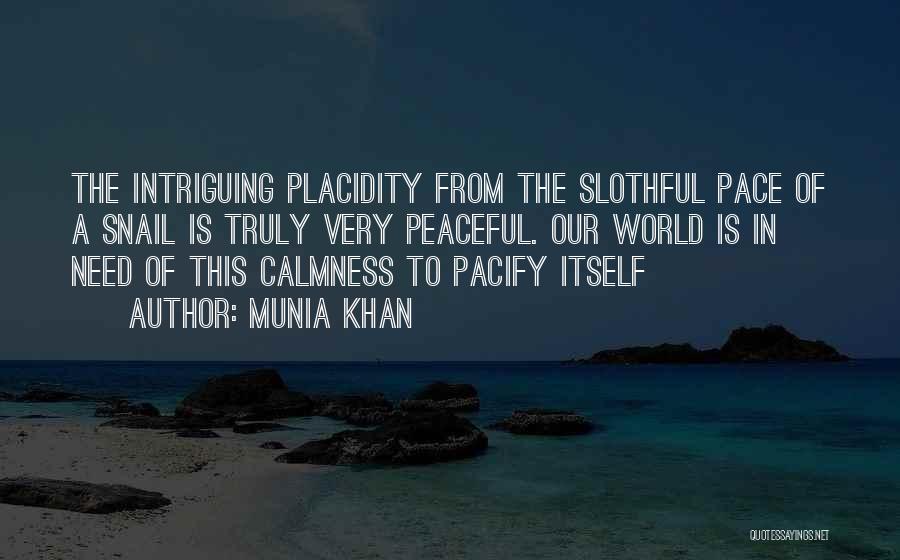 Peacefulness And Calm Quotes By Munia Khan