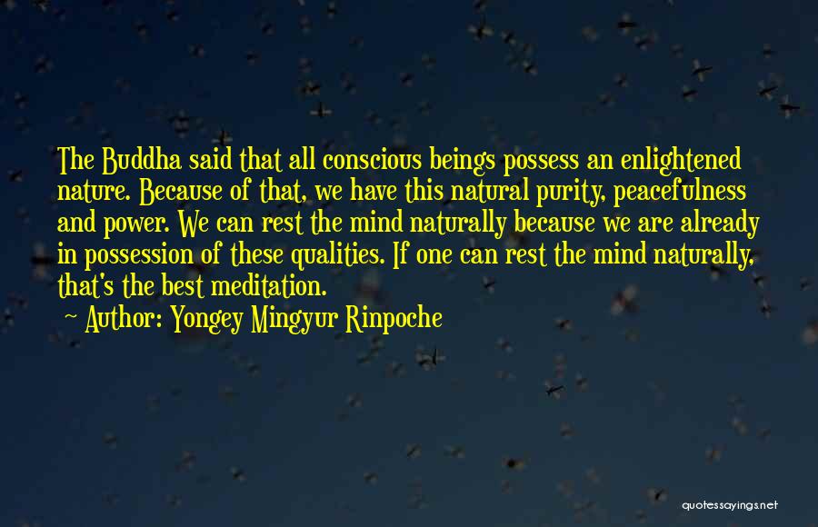 Peacefulness Nature Quotes By Yongey Mingyur Rinpoche