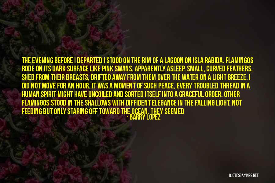 Peacefulness Of Water Quotes By Barry Lopez Peacefulness Of Water Quotes By Barry Lopez