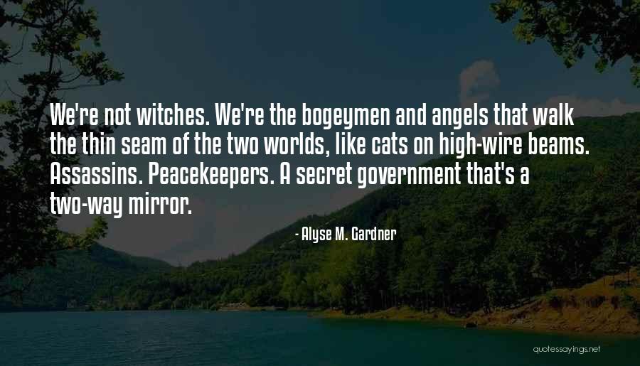Peacekeepers Quotes By Alyse M. Gardner Peacekeepers Quotes By Alyse M. Gardner