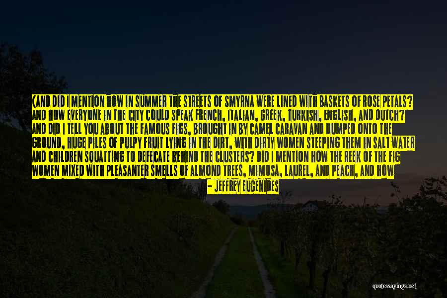 Peach Fruit Quotes By Jeffrey Eugenides Peach Fruit Quotes By Jeffrey Eugenides