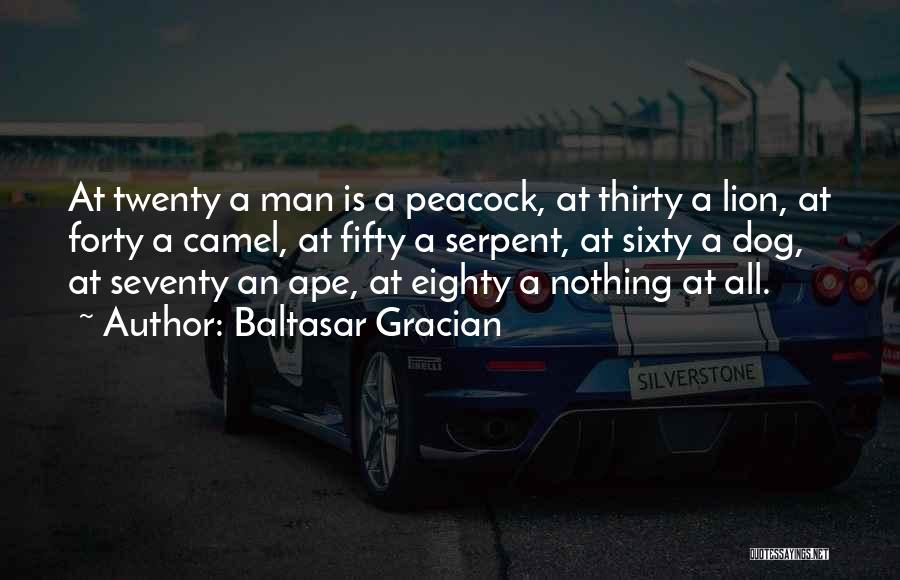 Peacock Quotes By Baltasar Gracian