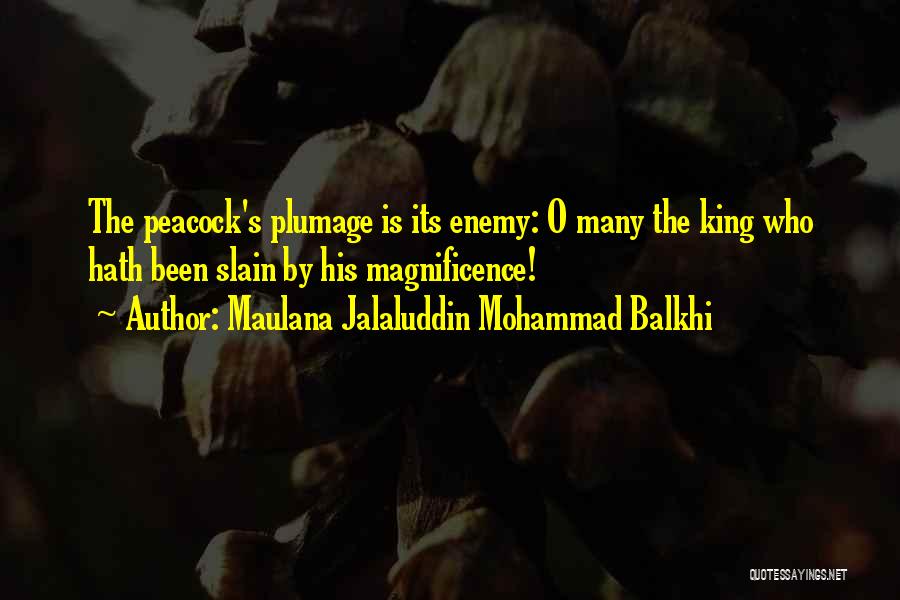 Peacock Quotes By Maulana Jalaluddin Mohammad Balkhi