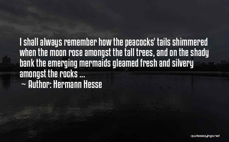 Peacocks Quotes By Hermann Hesse