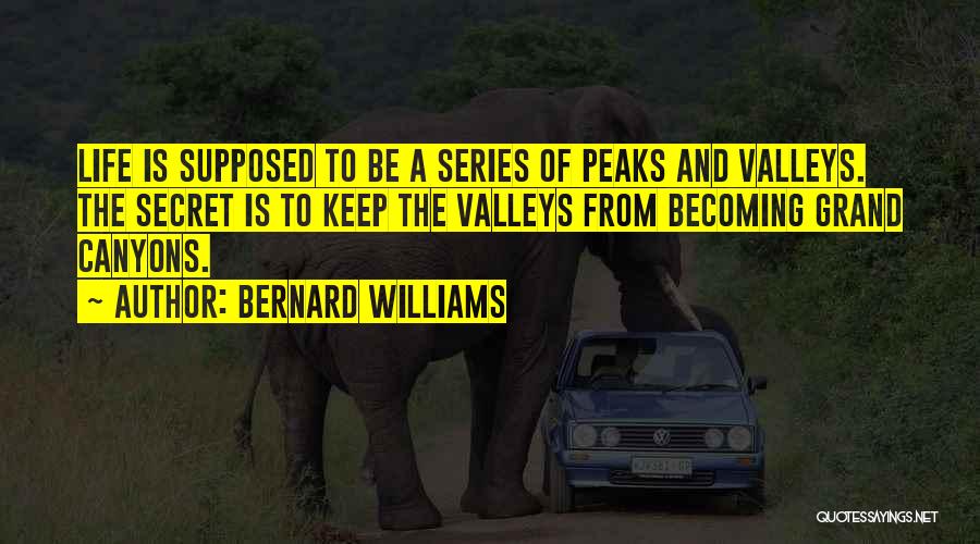 Peaks And Valleys Quotes By Bernard Williams