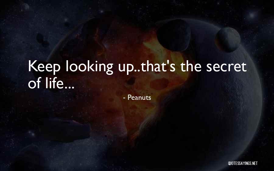 Peanuts Quotes 1776197 Peanuts Quotes 1776197