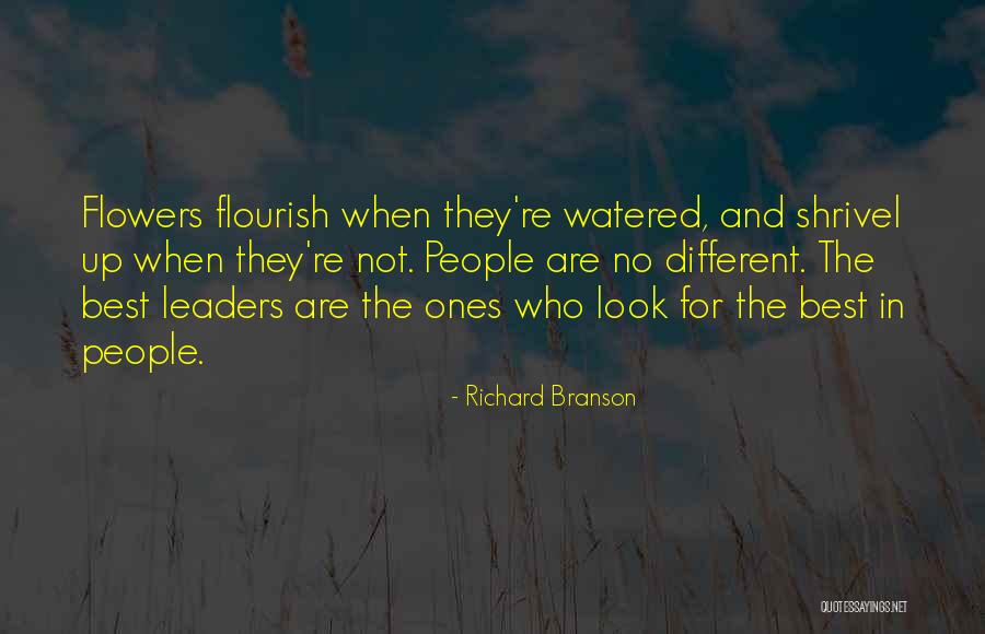Pearl Coyotito Quotes By Richard Branson Pearl Coyotito Quotes By Richard Branson
