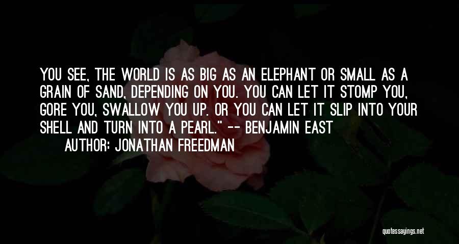 Pearl In The Sand Quotes By Jonathan Freedman