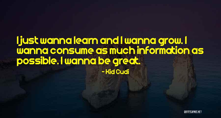 Pearse College Quotes By Kid Cudi Pearse College Quotes By Kid Cudi