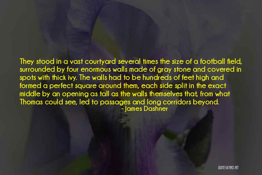 Pearthree Infant Quotes By James Dashner Pearthree Infant Quotes By James Dashner