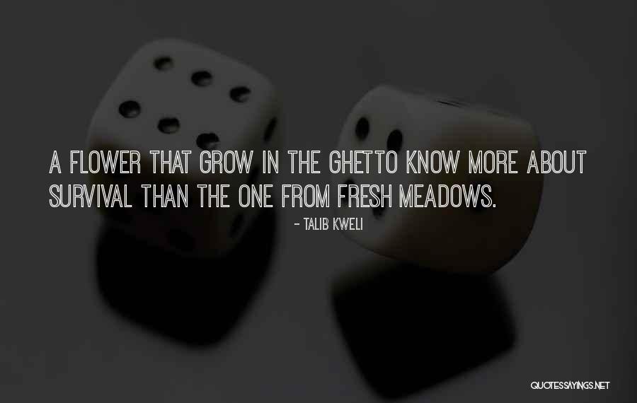 Pearthree Infant Quotes By Talib Kweli Pearthree Infant Quotes By Talib Kweli