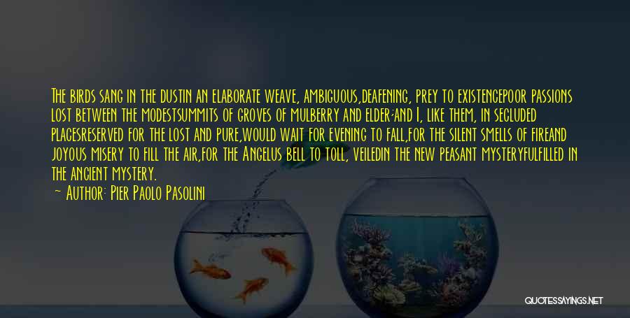 Peasant Life Quotes By Pier Paolo Pasolini