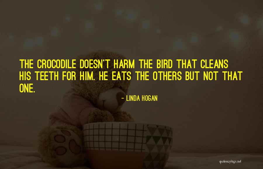 Peatland Conservation Quotes By Linda Hogan Peatland Conservation Quotes By Linda Hogan