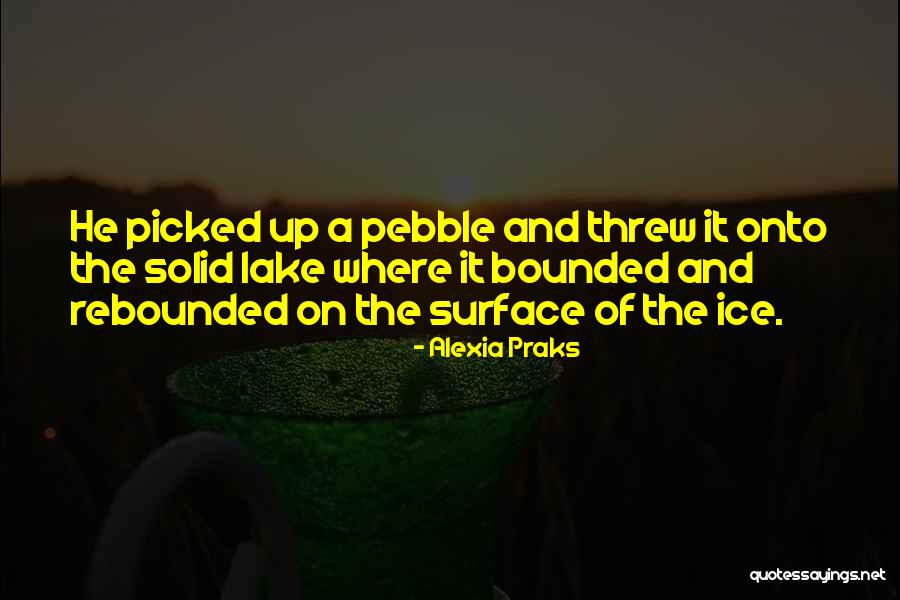 Pebble Go Quotes By Alexia Praks Pebble Go Quotes By Alexia Praks