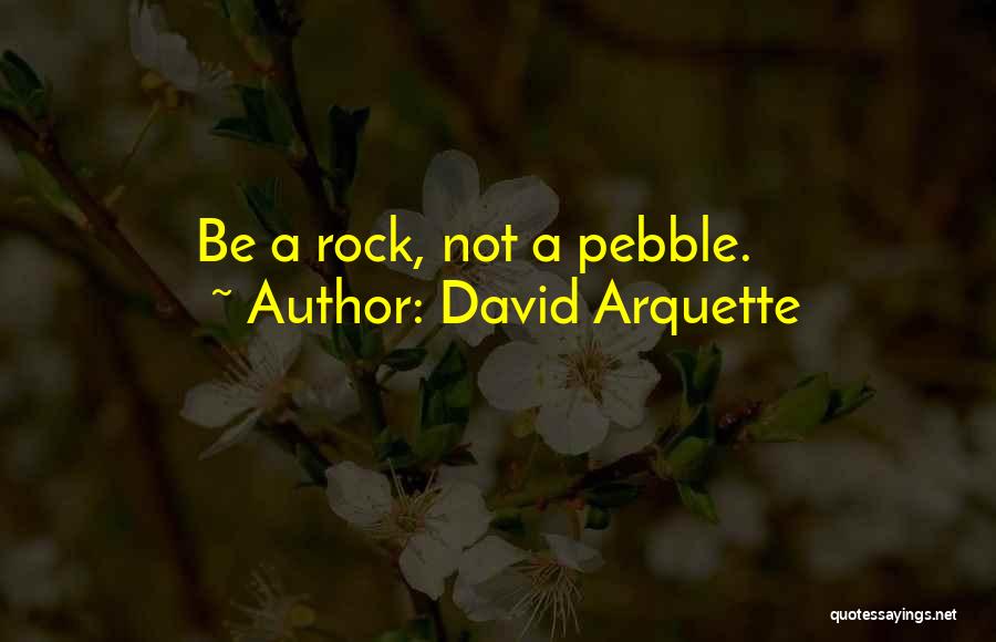 Pebble Love Quotes By David Arquette