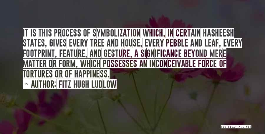 Pebble Quotes By Fitz Hugh Ludlow