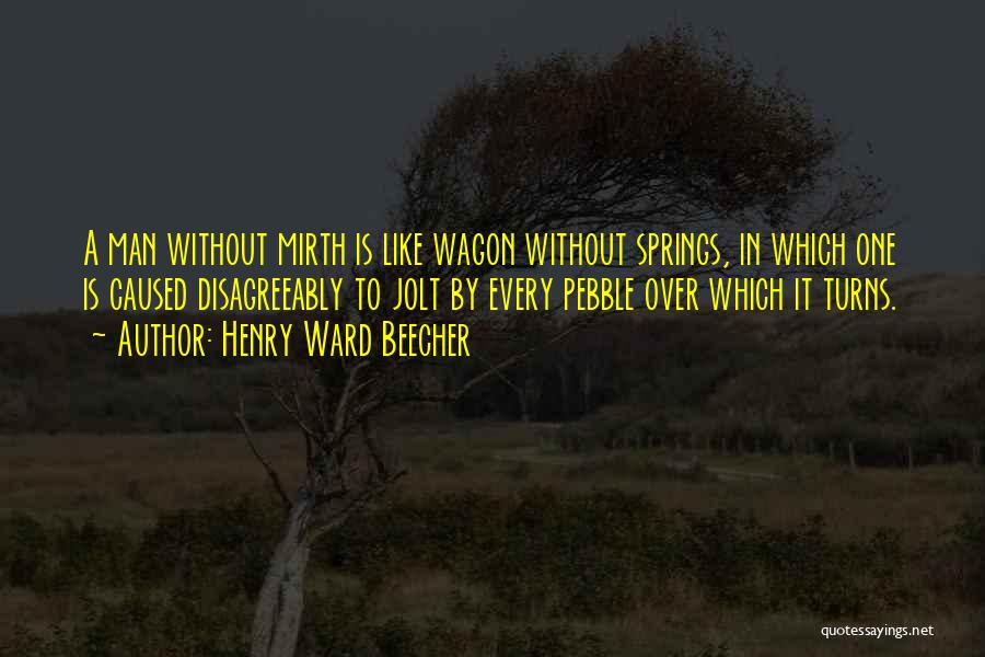 Pebble Quotes By Henry Ward Beecher