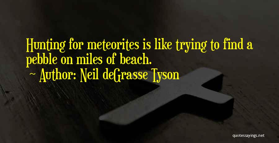Pebble Quotes By Neil DeGrasse Tyson