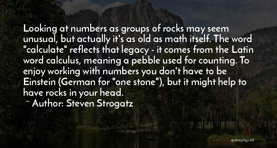 Pebble Quotes By Steven Strogatz