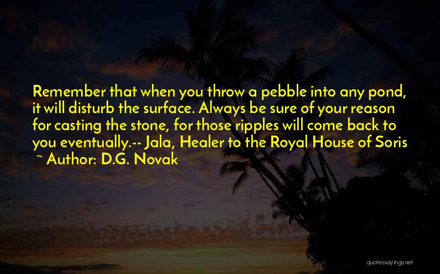 Pebble Stone Quotes By D.G. Novak
