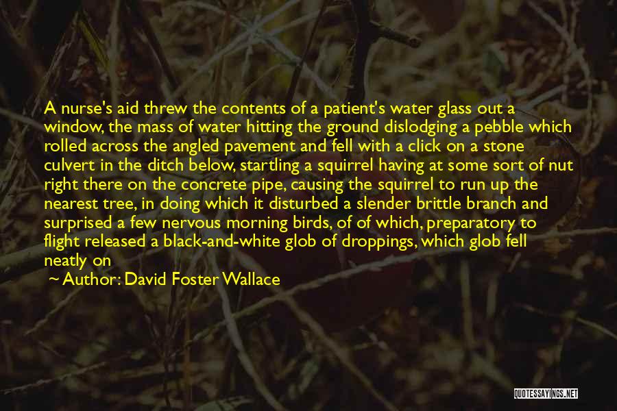 Pebble Stone Quotes By David Foster Wallace