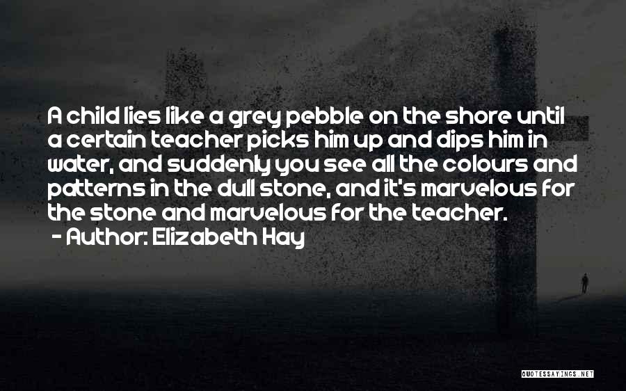 Pebble Stone Quotes By Elizabeth Hay
