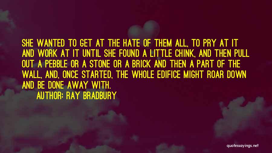 Pebble Stone Quotes By Ray Bradbury