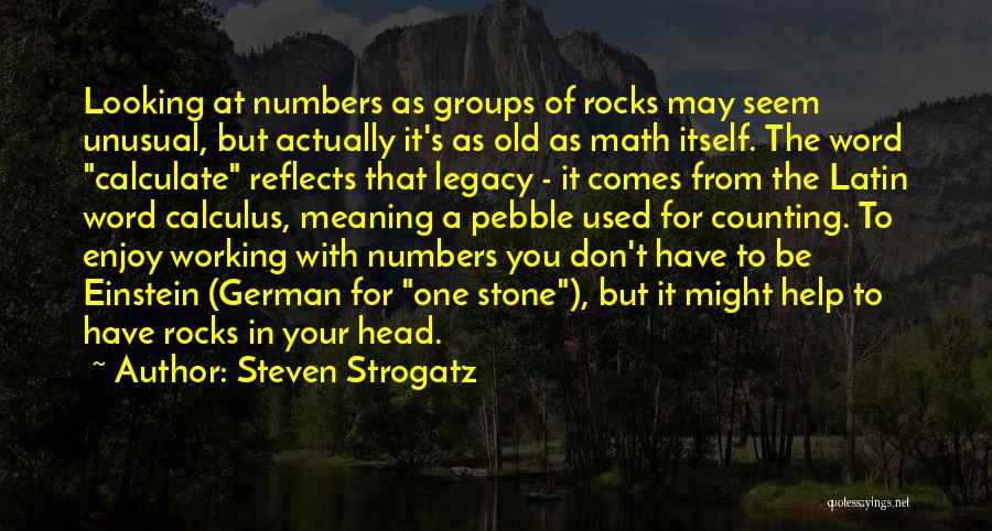 Pebble Stone Quotes By Steven Strogatz