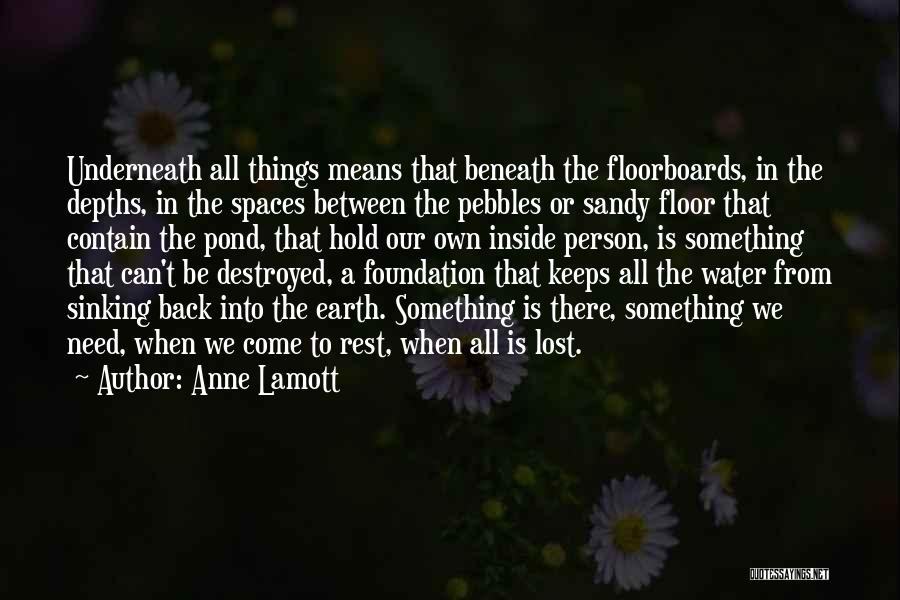 Pebbles In Pond Quotes By Anne Lamott