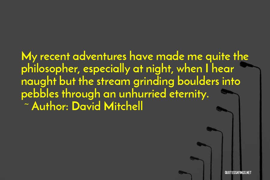 Pebbles Quotes By David Mitchell