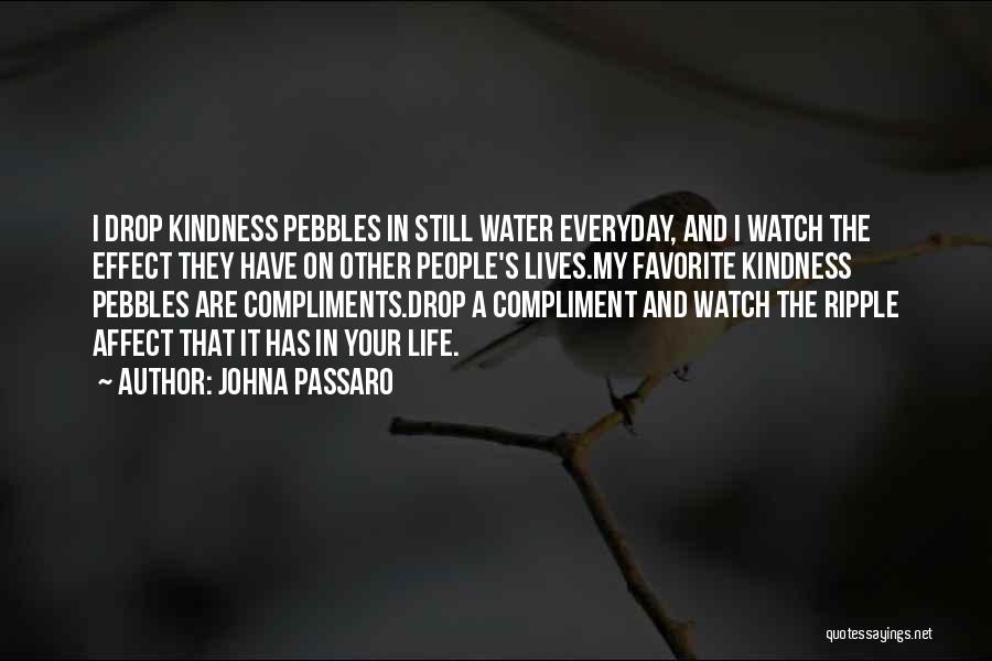 Pebbles Quotes By JohnA Passaro