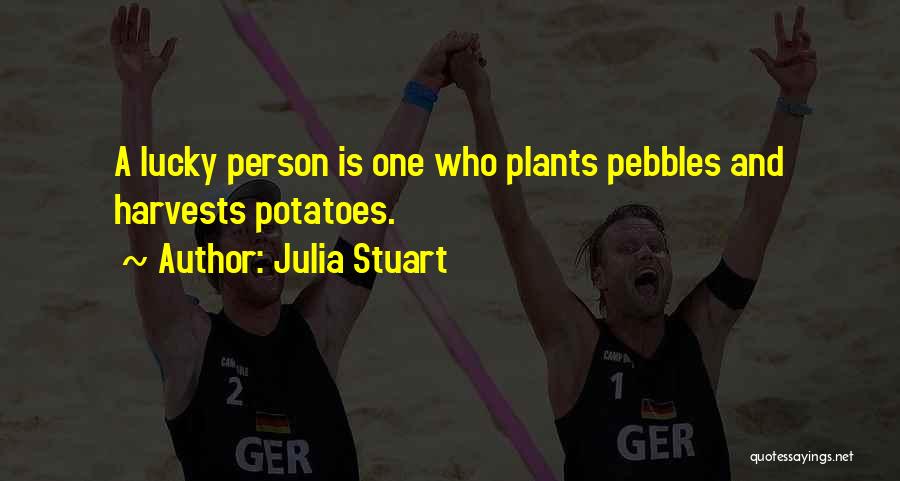 Pebbles Quotes By Julia Stuart