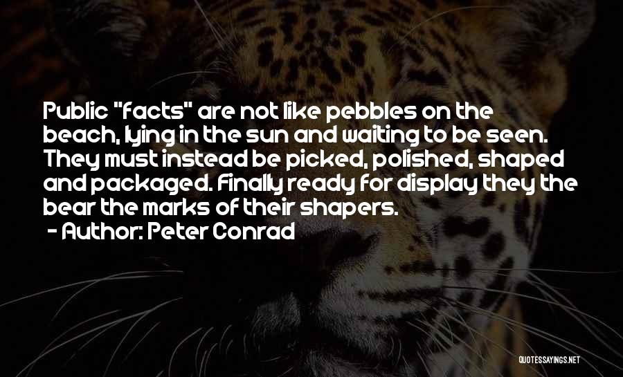 Pebbles Quotes By Peter Conrad