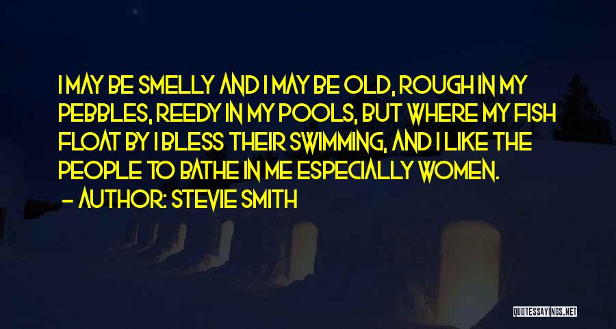 Pebbles Quotes By Stevie Smith