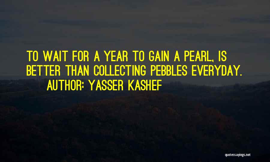 Pebbles Quotes By Yasser Kashef